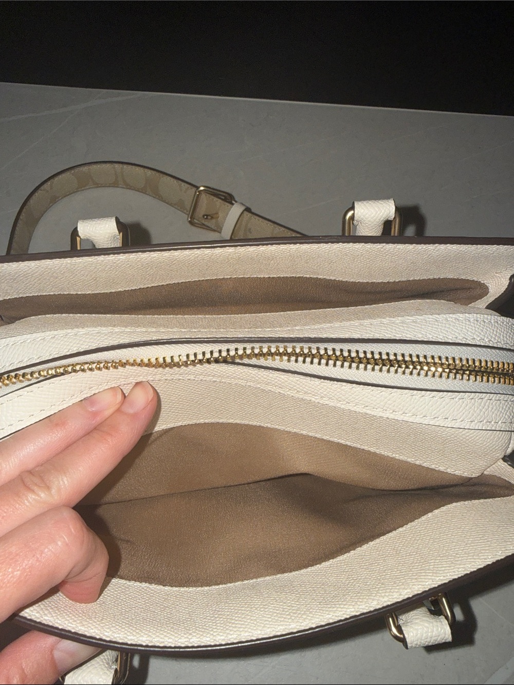 Coach Mini Darcy Carryall with Gold Hardware - Picture 5 of 11
